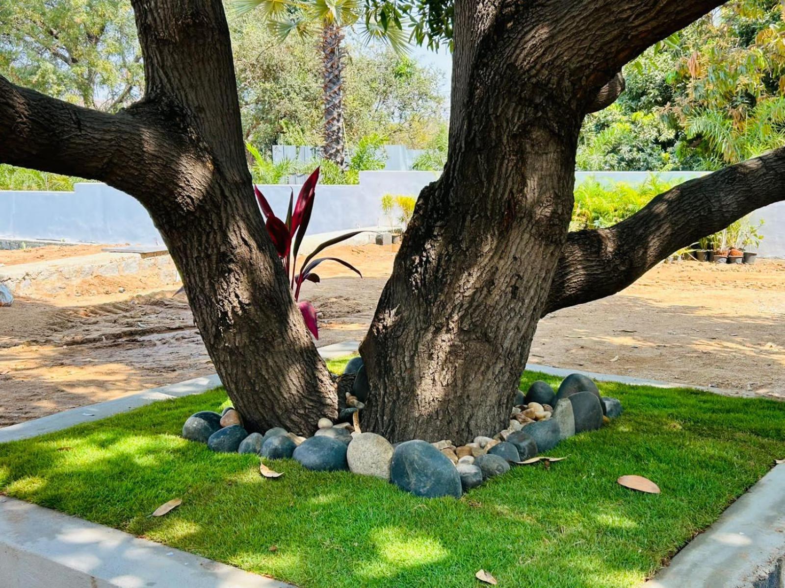 Hampi Village Resort & Tutti Cafe Екстер'єр фото