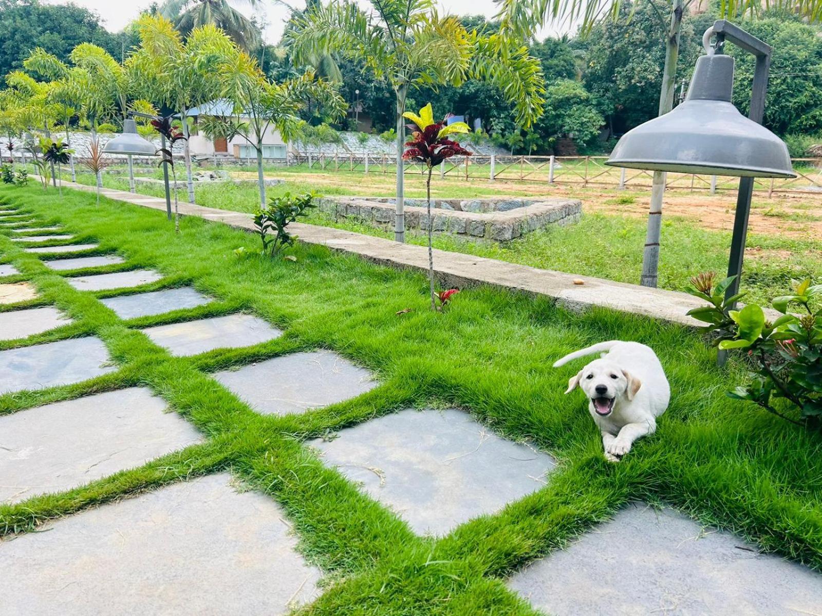 Hampi Village Resort & Tutti Cafe Екстер'єр фото
