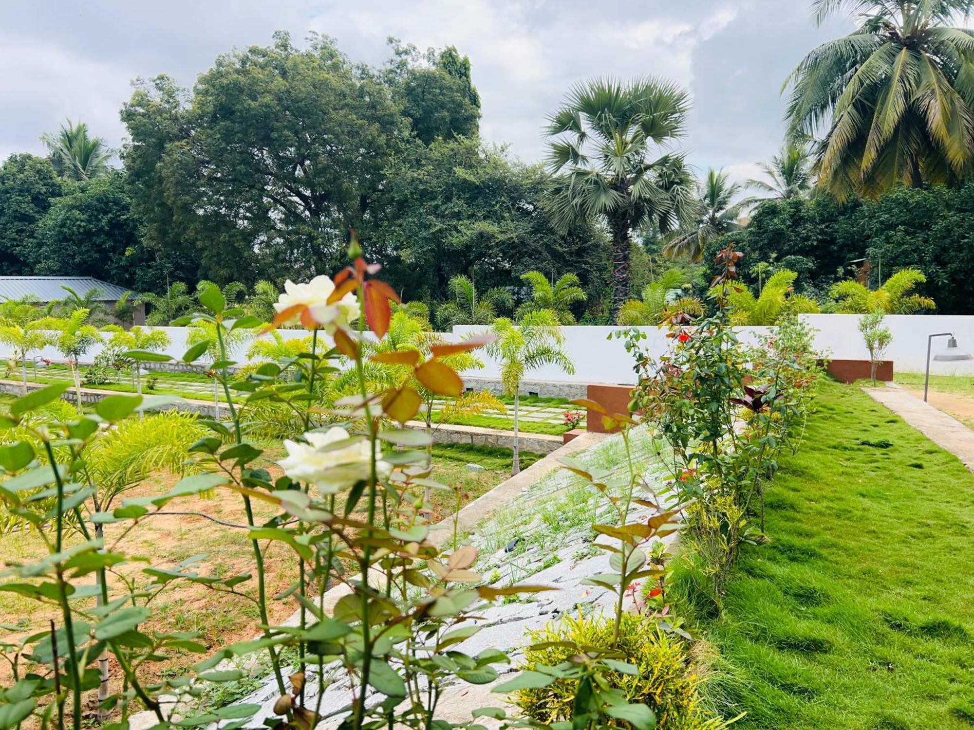 Hampi Village Resort & Tutti Cafe Екстер'єр фото