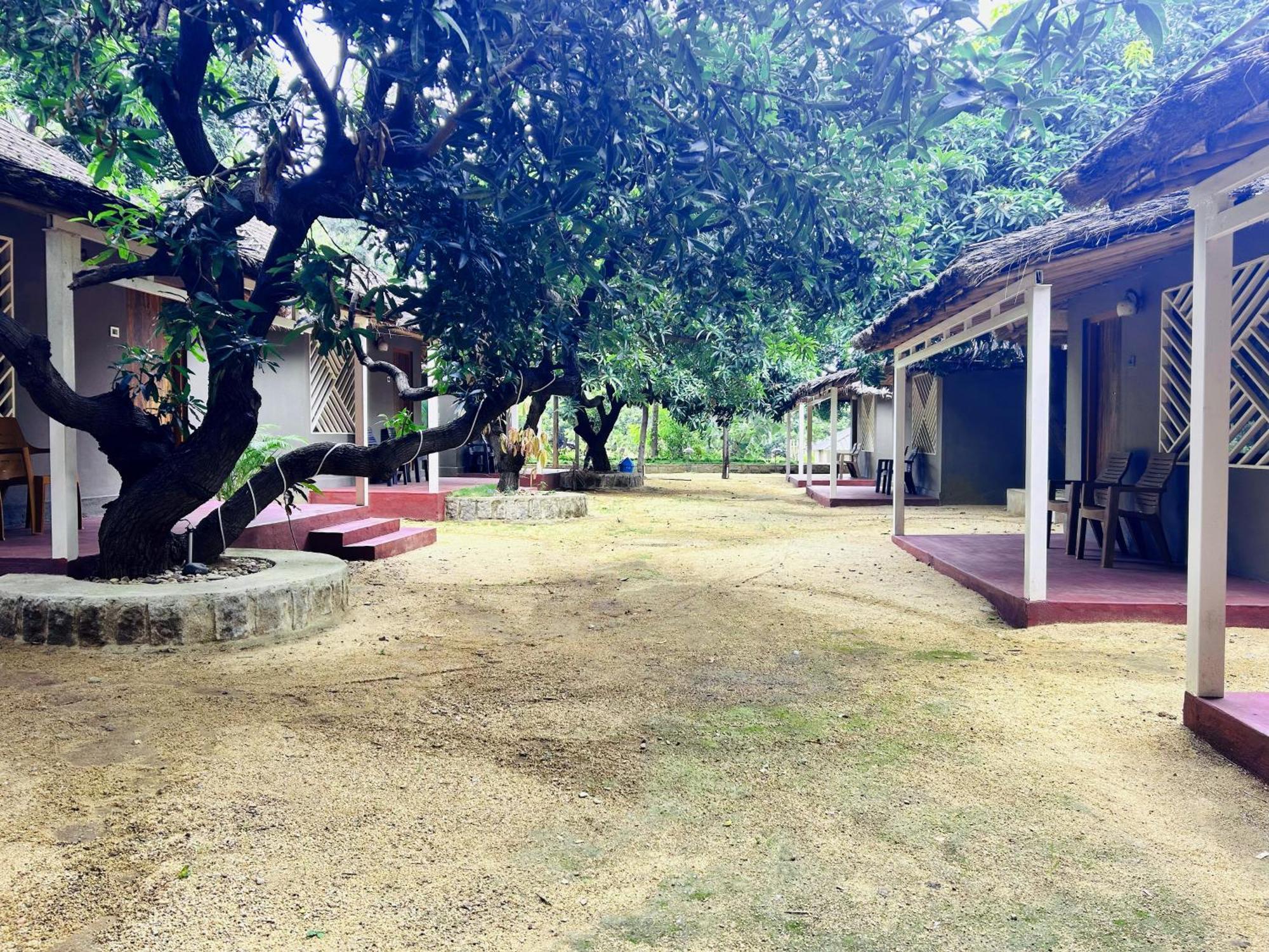 Hampi Village Resort & Tutti Cafe Екстер'єр фото